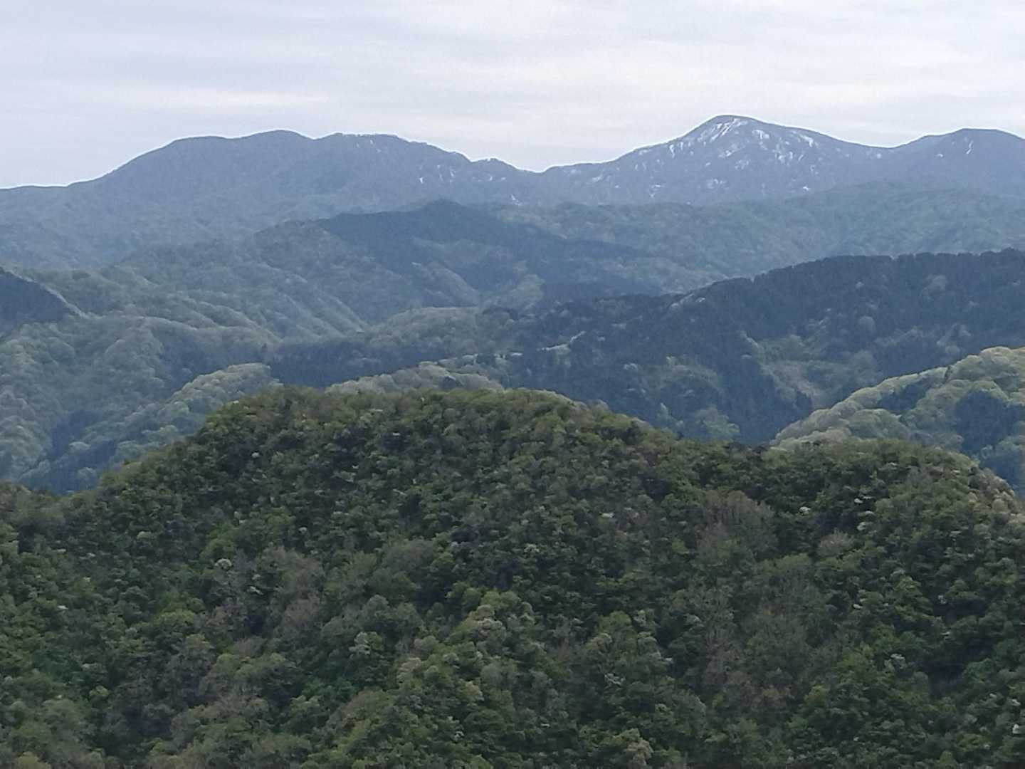 西ノ谷登山口-舟見平-鞍掛山-中ノ谷登山口 周回コースの写真