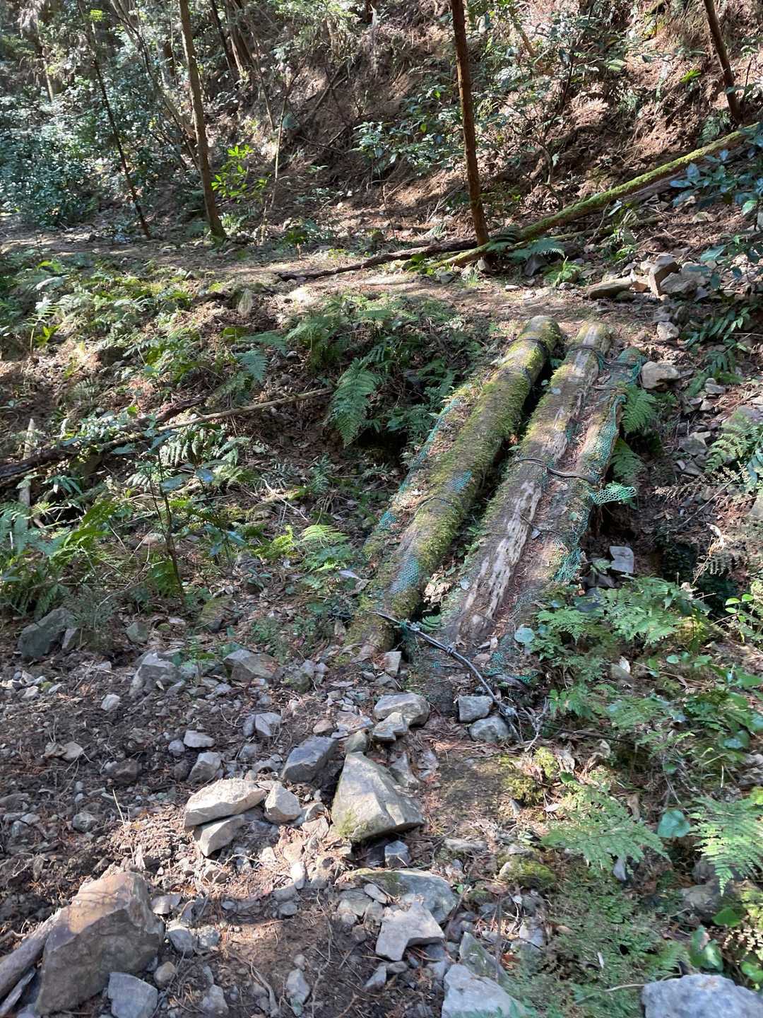 栗栖バス停-栗栖神社-桃山ルート入口-桃山-天神山-東山- 周回コースの写真
