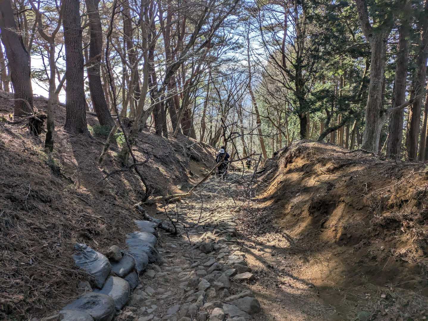 下山途中、強風のため、折れた木が登山道を立ち塞いでいました
よけられる木はよけたけど、写真に写っている様な木は重くてよけられませんでした