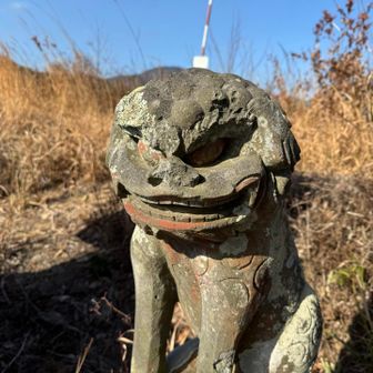 狛犬さん笑ってる💕😁