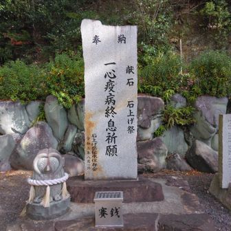 一心疫病退散🙏