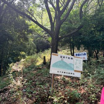 九十九曲りで下山