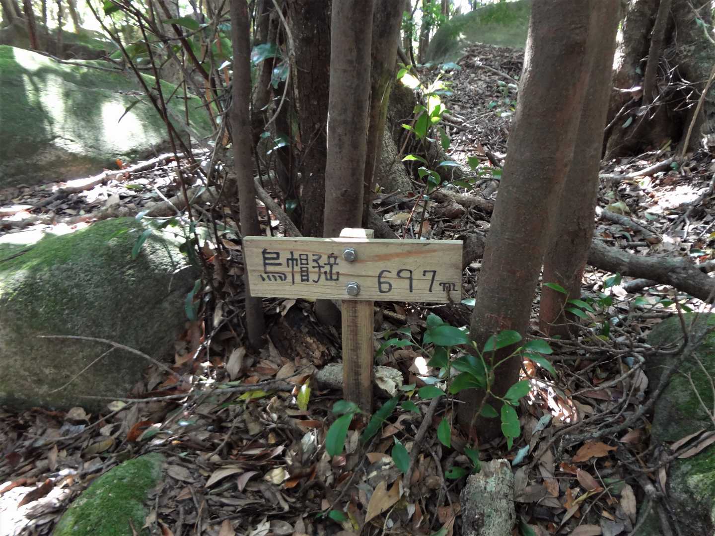 烏帽子岳 標高 697m、2級基準点(基準点名：地籍図根三角点E001)。