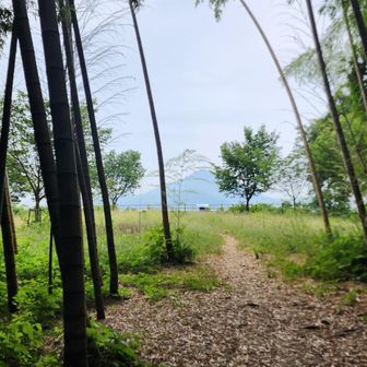 竹林を通って開放的な頂上広場に繋がる西港山
興居島と梅津寺を見下ろせるビューポイントはお気に入りの場所だ(*^^*)