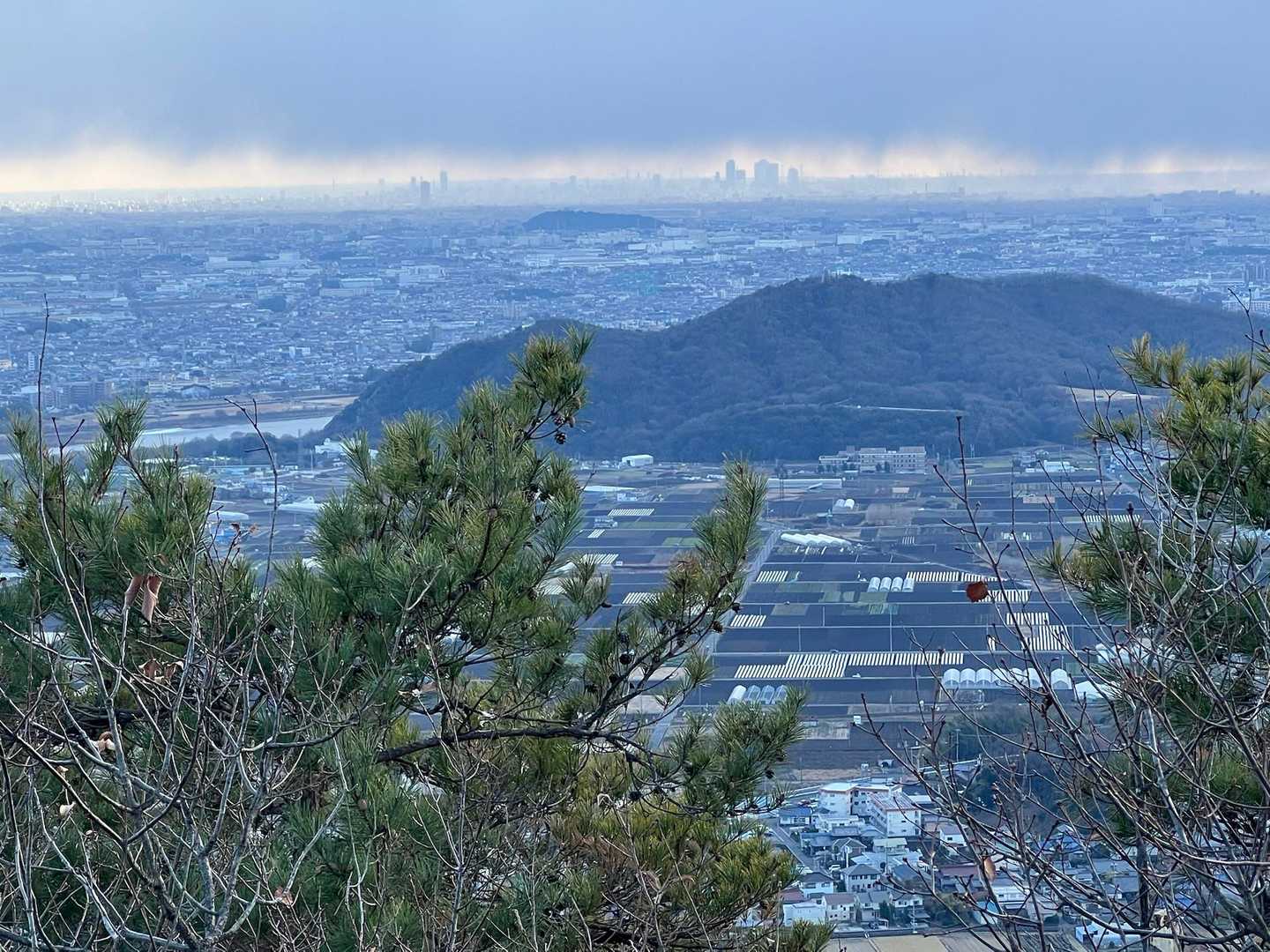伊木山と遠方は名古屋ビル群