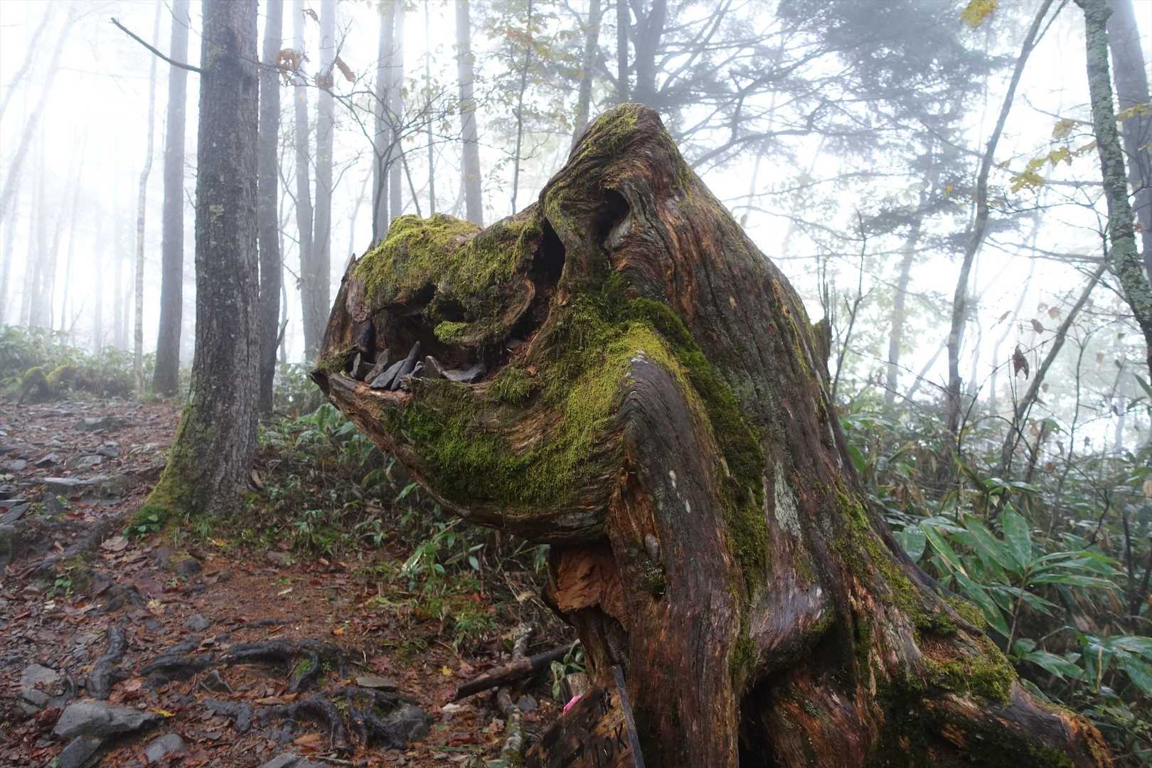 ゴジラらしい