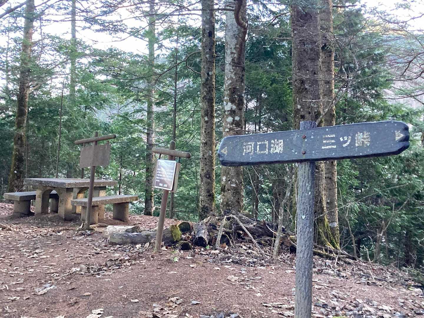 すぐにベンチもありますが、進みます🚶‍♀️‍➡️
