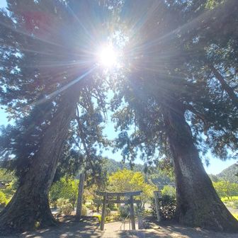 鳥居の上にさらに大杉の鳥居があるみたい⛩️

相戸岳
短い距離でもずっと急登で
しっかり登り応えがあったし、
山頂の眺望もよく、
今回はキノコいっぱい見れて
楽しかったです😆🎶