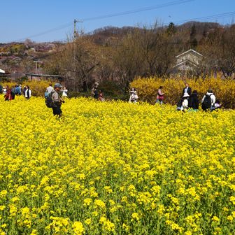パパさんもあったのよ