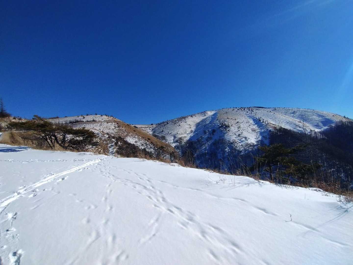 けど、景色は最高😍雲ひとつない鉢伏ブルー️❄💙風も思っていたほど強くなくて穏やかな晴天です☀
