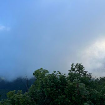 おはうみ😶‍🌫️