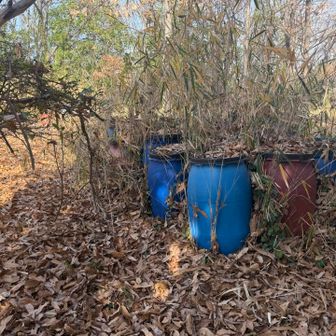 19：丸山
それらしきものを見つけることができなかった