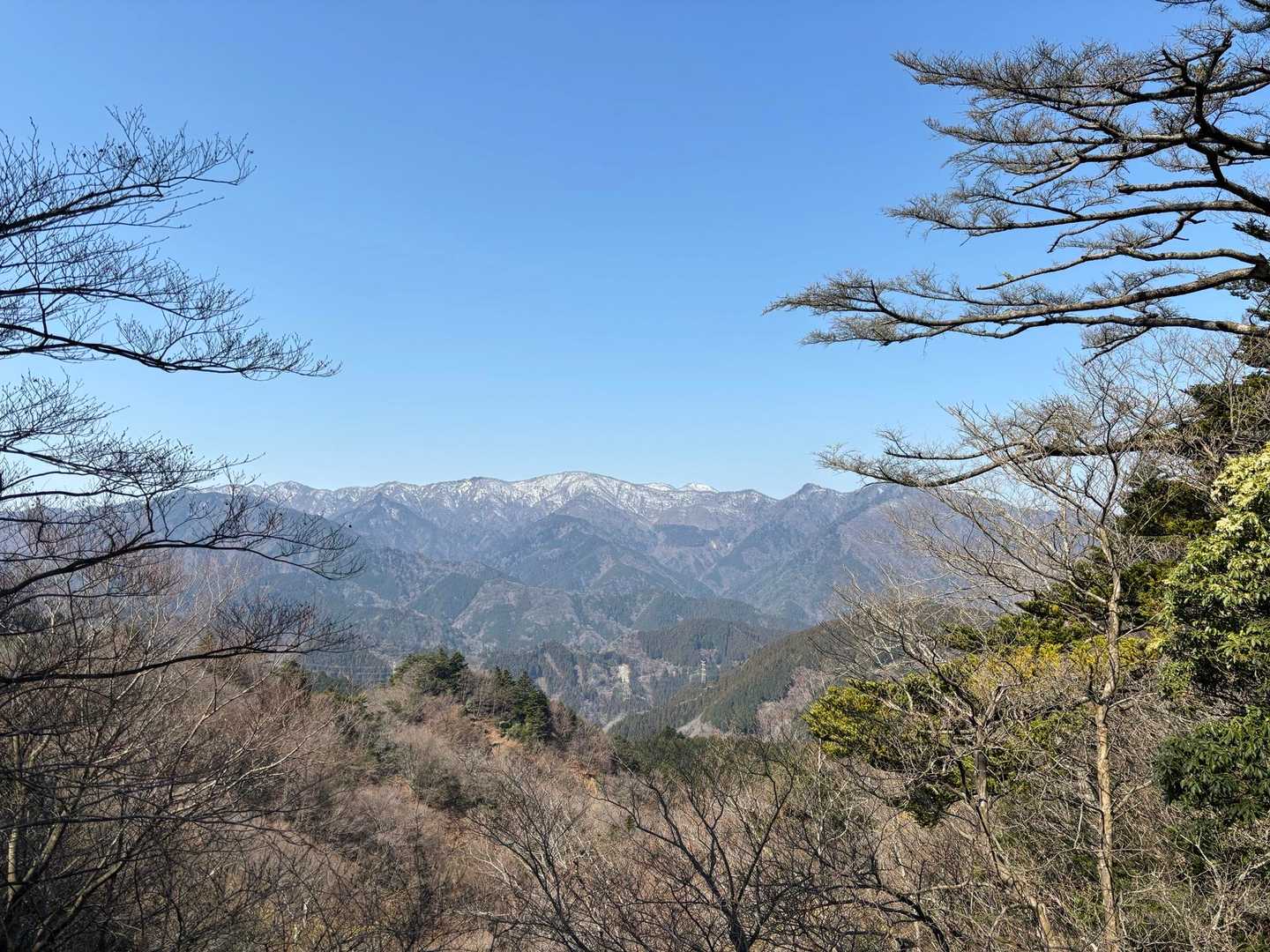 あちらの丹沢は雪化粧