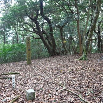 孔大寺山山頂
■孔大寺山
等級 :　三等三角点
緯度 :　33.849025833
経度 :　130.570639972
標高 :　498.84m
COD :　TR35030641501
場所 :　福岡県遠賀郡
訪問 :　2026年9月12日