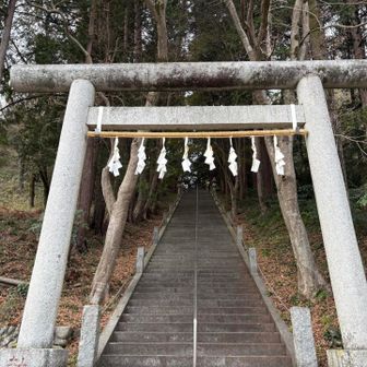 天祖神社⛩️から登山道に入っていく
いきなりの急階段で登りきったらへとへと