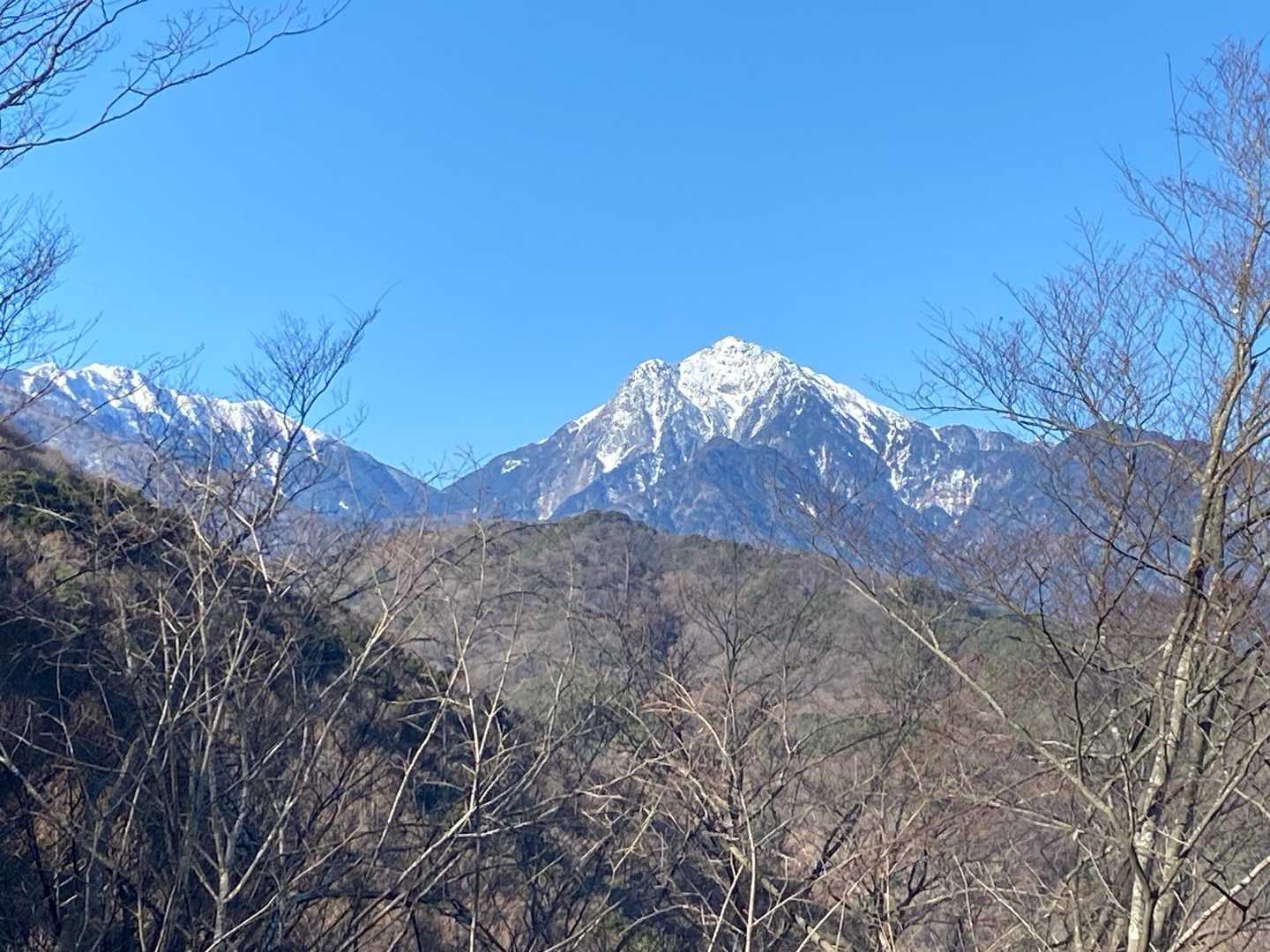 貴公子みれた