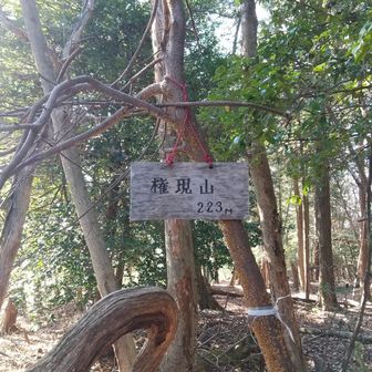 
続いてすぐ 権現山 山頂に 到着です
本日 7座目 です
ここも 眺望は ございません
