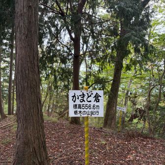 雨が降ってきたので、猫耳洞窟は諦める😹

下山して靴を脱ぐと…
ウギャー😂