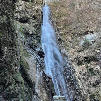 本棚の滝✨
写真だと伝わりづらいけど高さが凄い！
来るのは大変だけどここをスルーするのはもったいないと思う