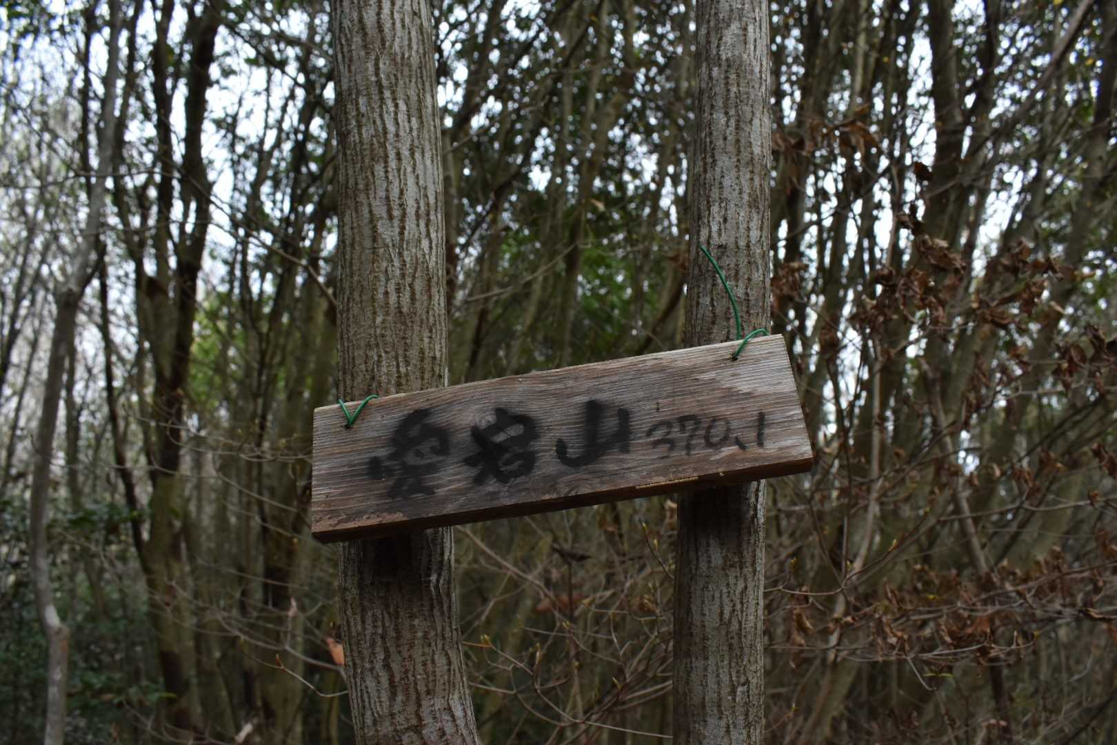 愛宕山到着😆