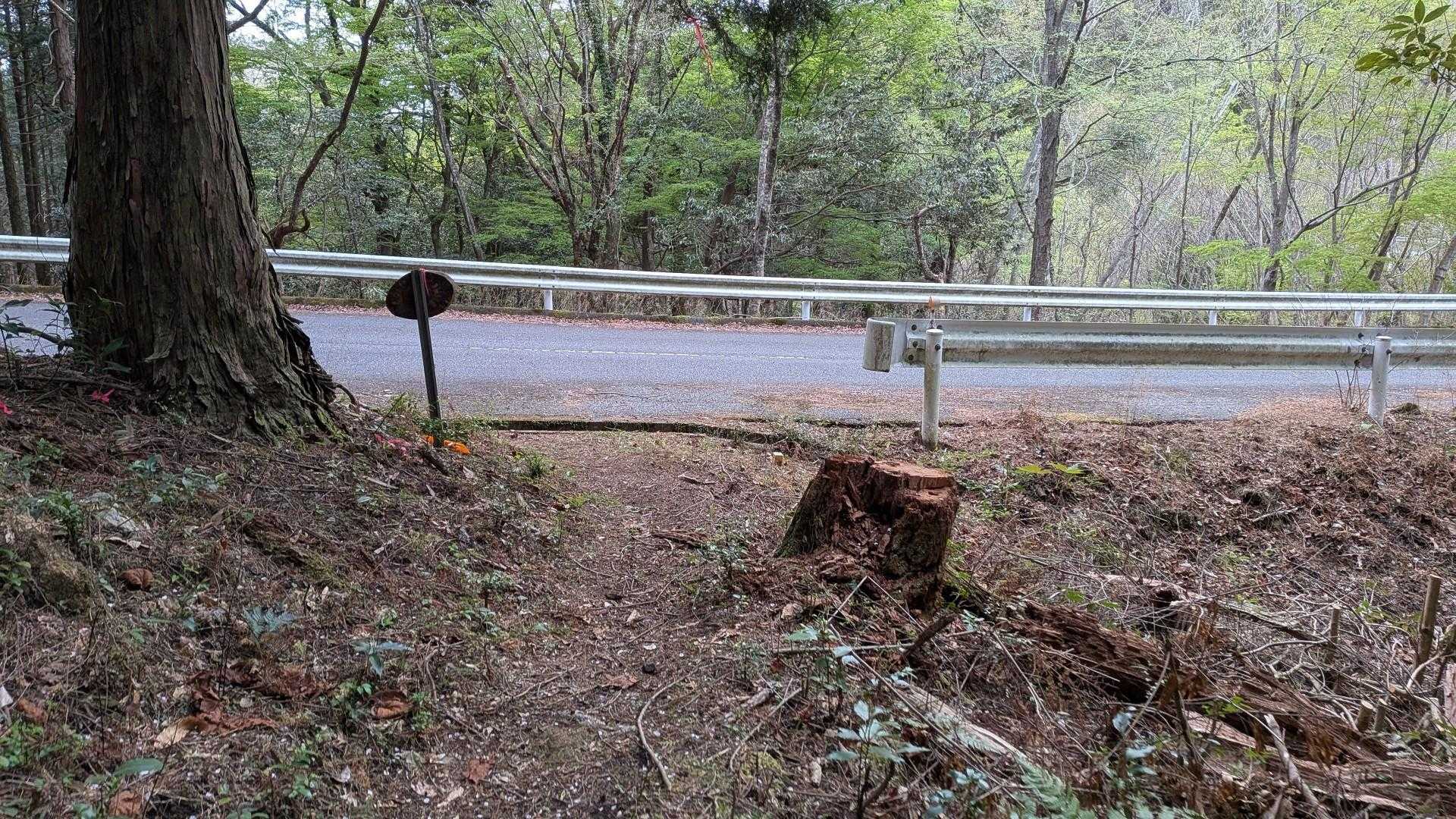 下山！
疲れていても下りは早いね⏰️

小表山、鷹巣岳、いずれもアケボノツツジの山だから要チェック👨‍🦲