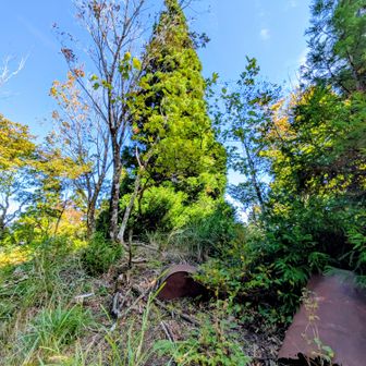 ㊗️本日４座目・🩶比良明神958m🎊の山頂域
山頂標識なし😓