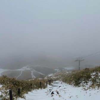 車山から下るにゃ。この階段が今回の核心。薄い雪の下に大小の石があって足をひねりそうになるので、アイゼンをつけていると大変にゃ〜😹