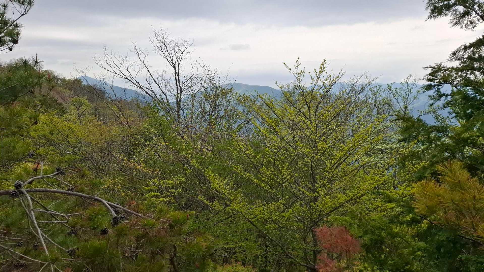 名郷バス停-蕨山 往復コースの写真