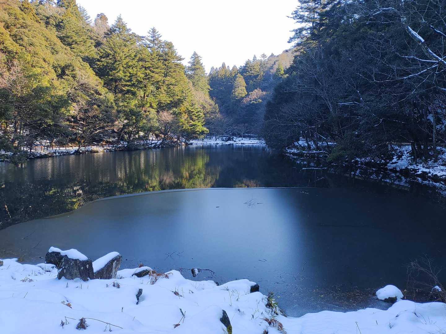 薄氷が張ってます