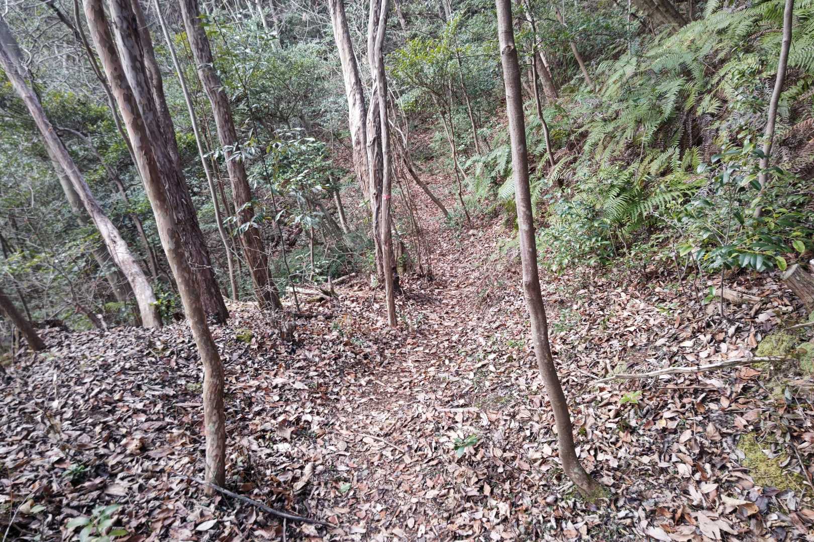 土岐城山-土岐城山登山道入口 縦走コースの写真