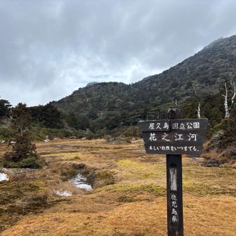 南限の高層湿原