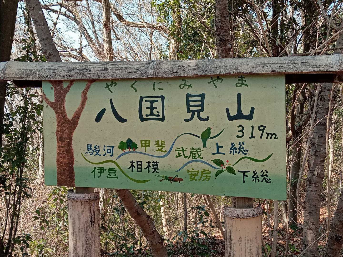 次のピーク八国見山