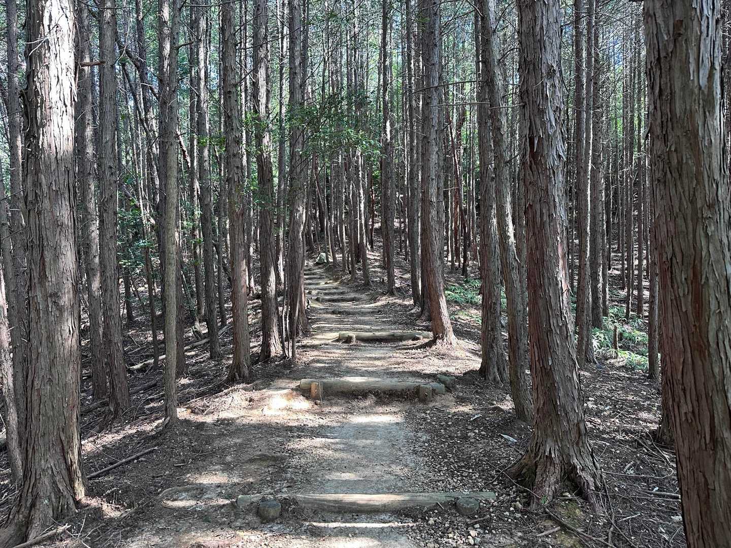 この景色、最高👍