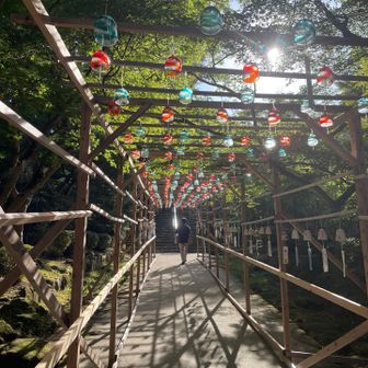 風鈴が飾ってありました