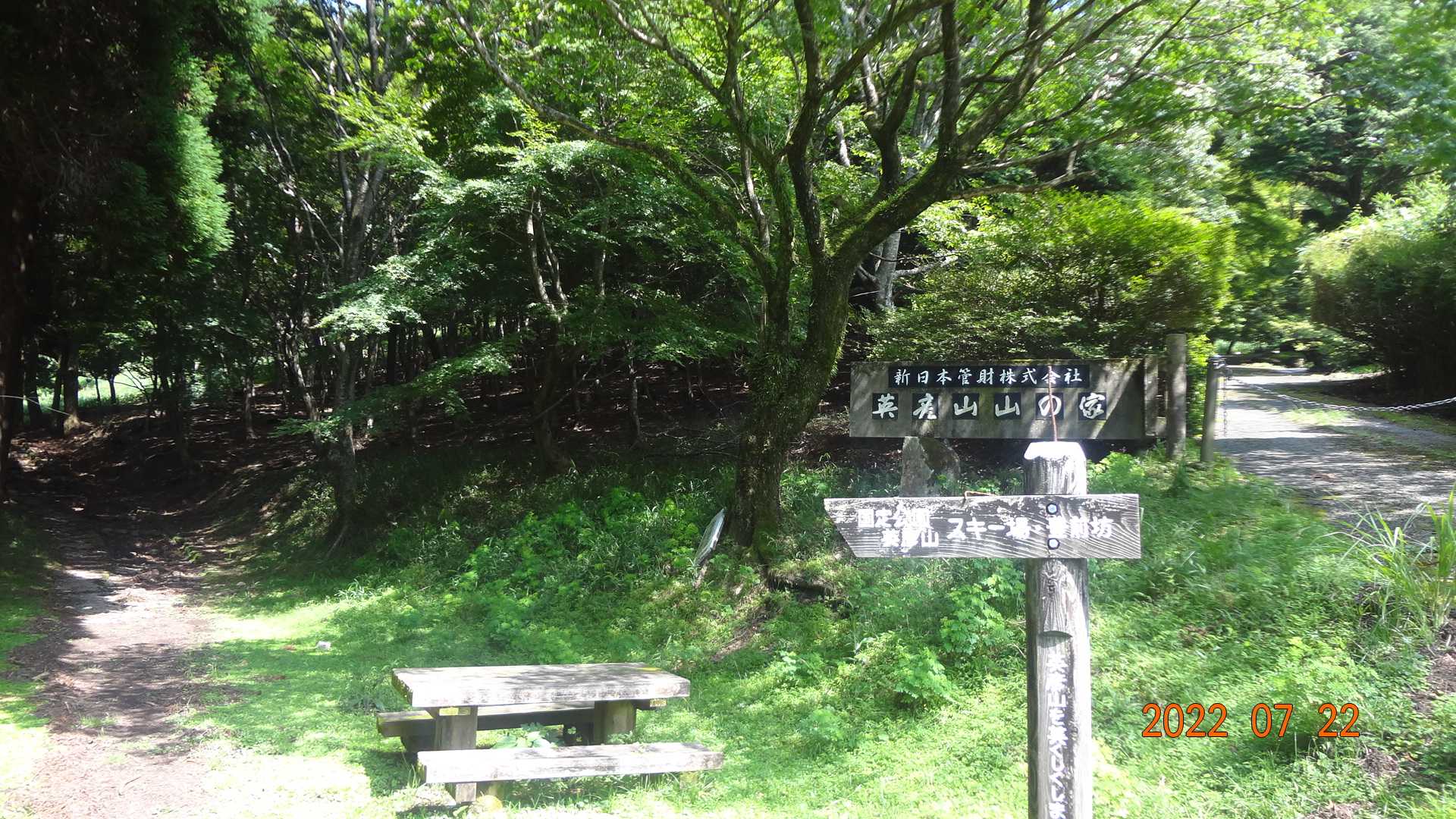 分岐