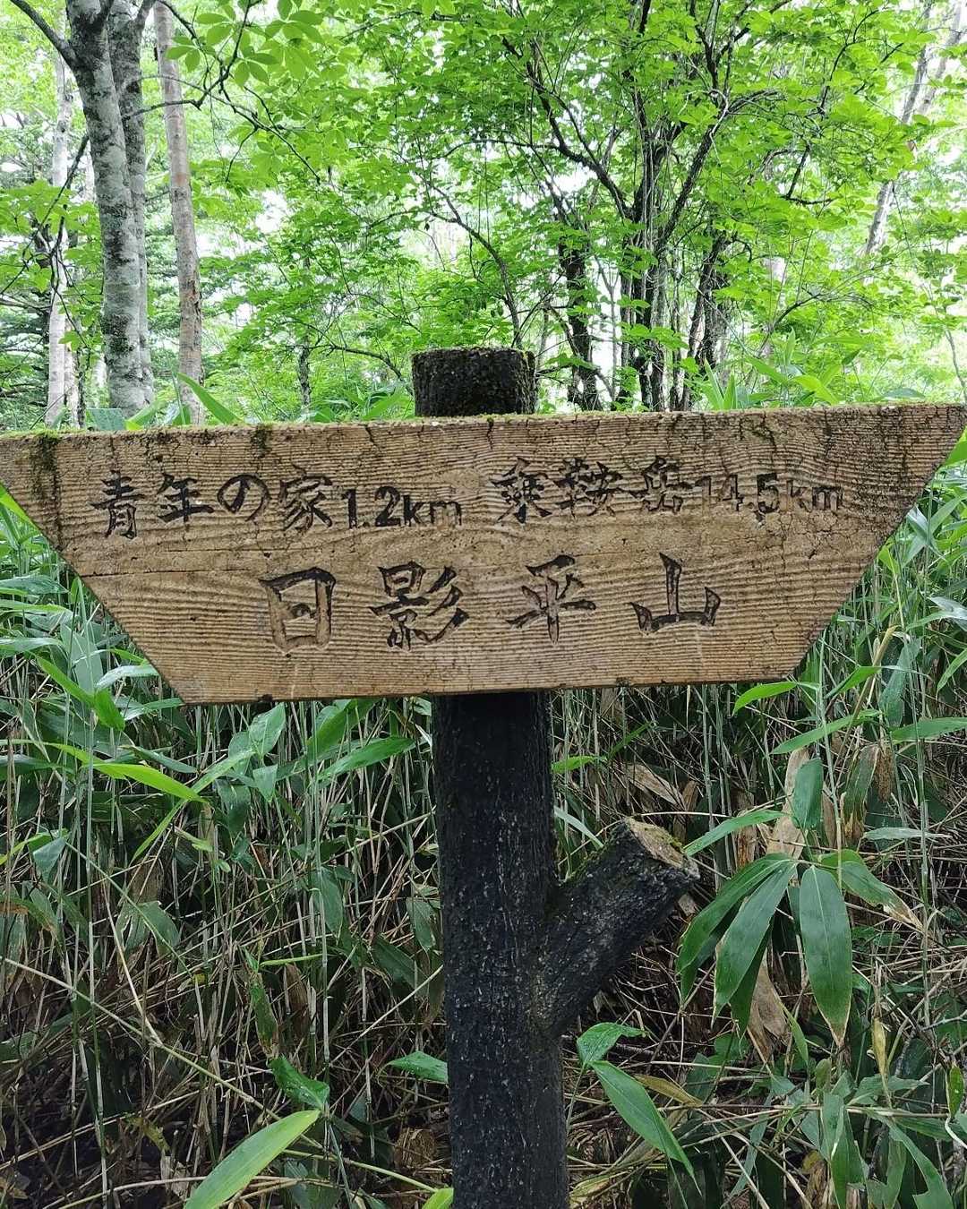 日影平山に到着
