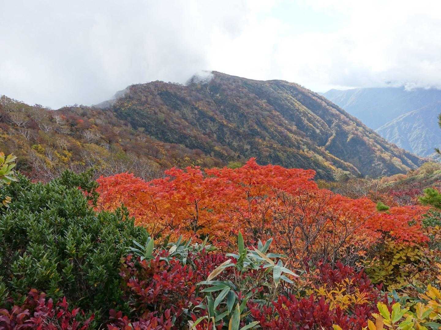 御沢登山口-横峰-草履塚-飯豊山神社-飯豊山 往復コースの写真
