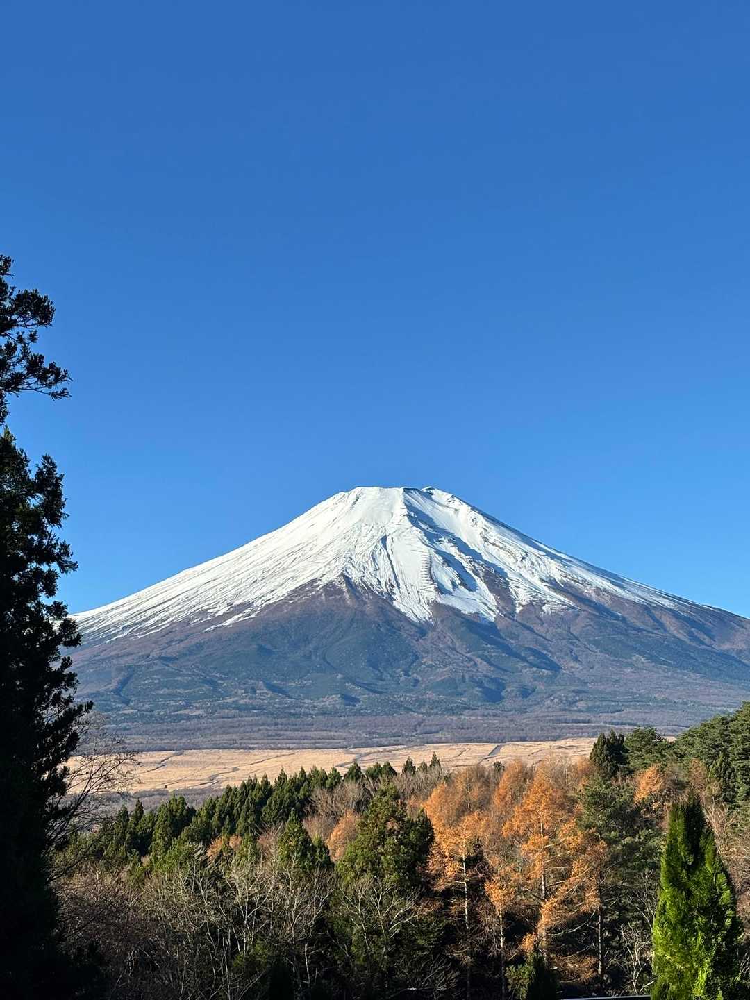 長池親水公園前バス停-大平山ハイキングコース入口-大平山- 周回コースの写真