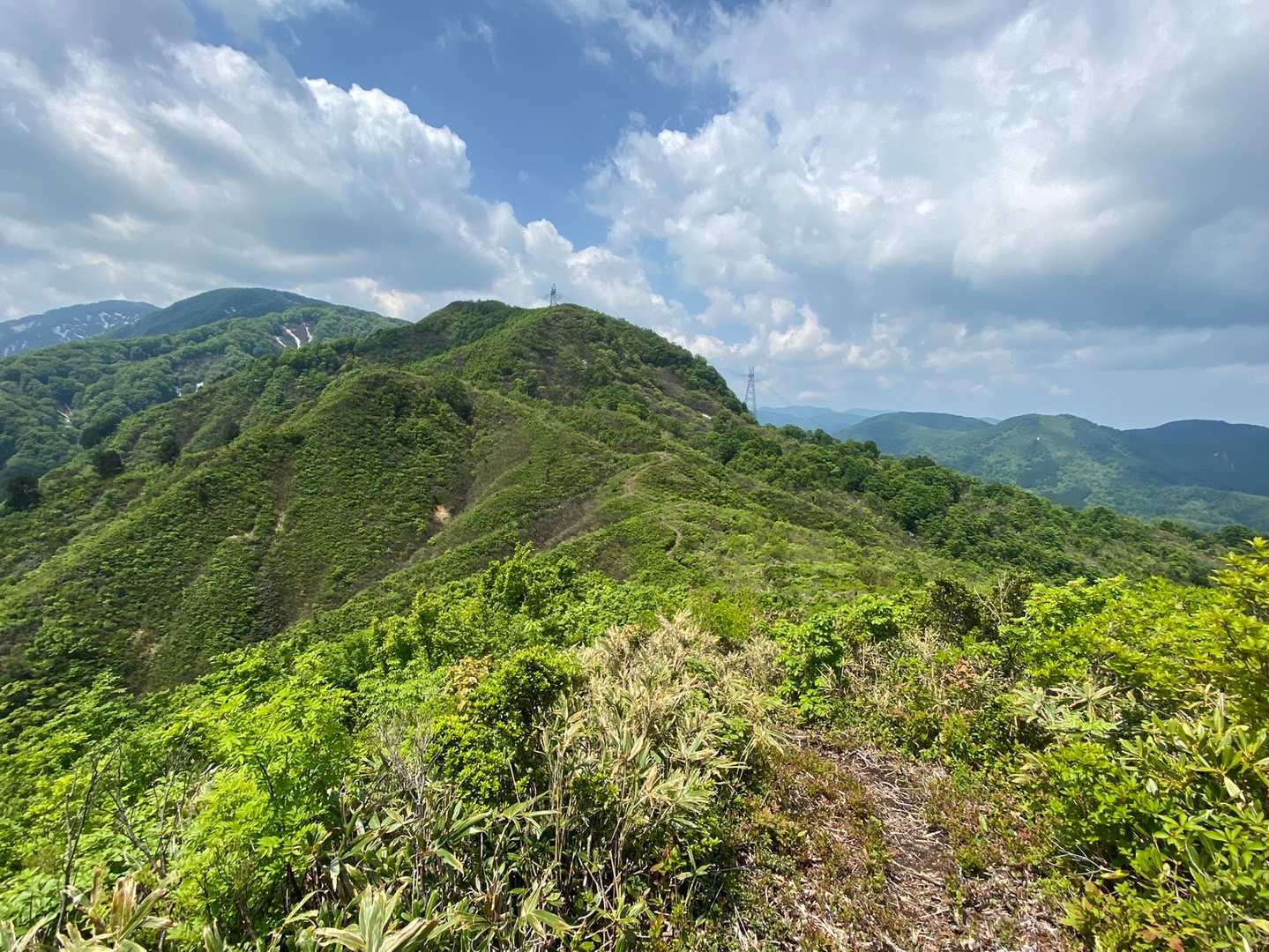 袴腰山-鳥越峠-奥山-三方山二峰 往復コースの写真