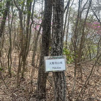 10座目はｸﾞﾚｰﾋﾟｰｸ🔺「⛰️大聖寺山」