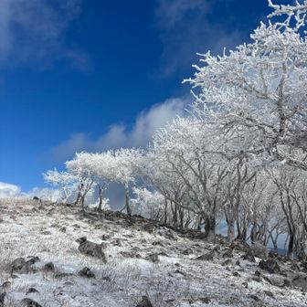 わーい🙌

思わず駆け上ってしまった！
馬かっ🐎