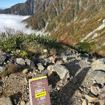 室堂平到着。さて、下界におりますか、、