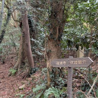 福満寺経由で下り