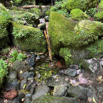 かくし水　ずっと流れよんのに
流れでらん不思議な水たまり