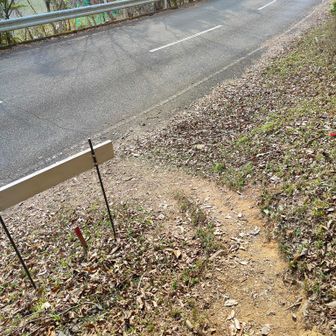 無事下山
今日もいっしょに行ってくれてありがとう