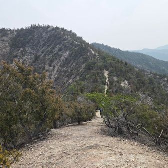 見晴らしも良くお天気の良い時に歩いてみたい絶景の尾根歩き✨