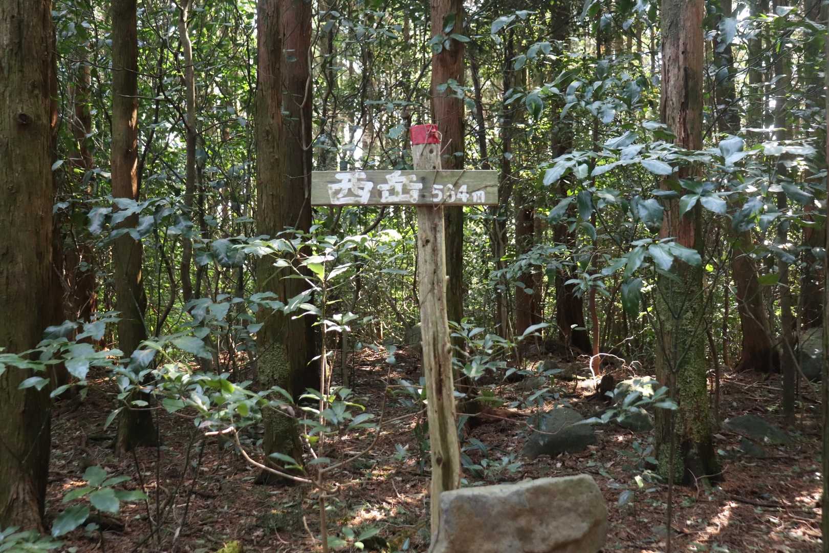 西岳!!