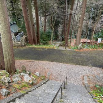 神社⛩️やってなかったー