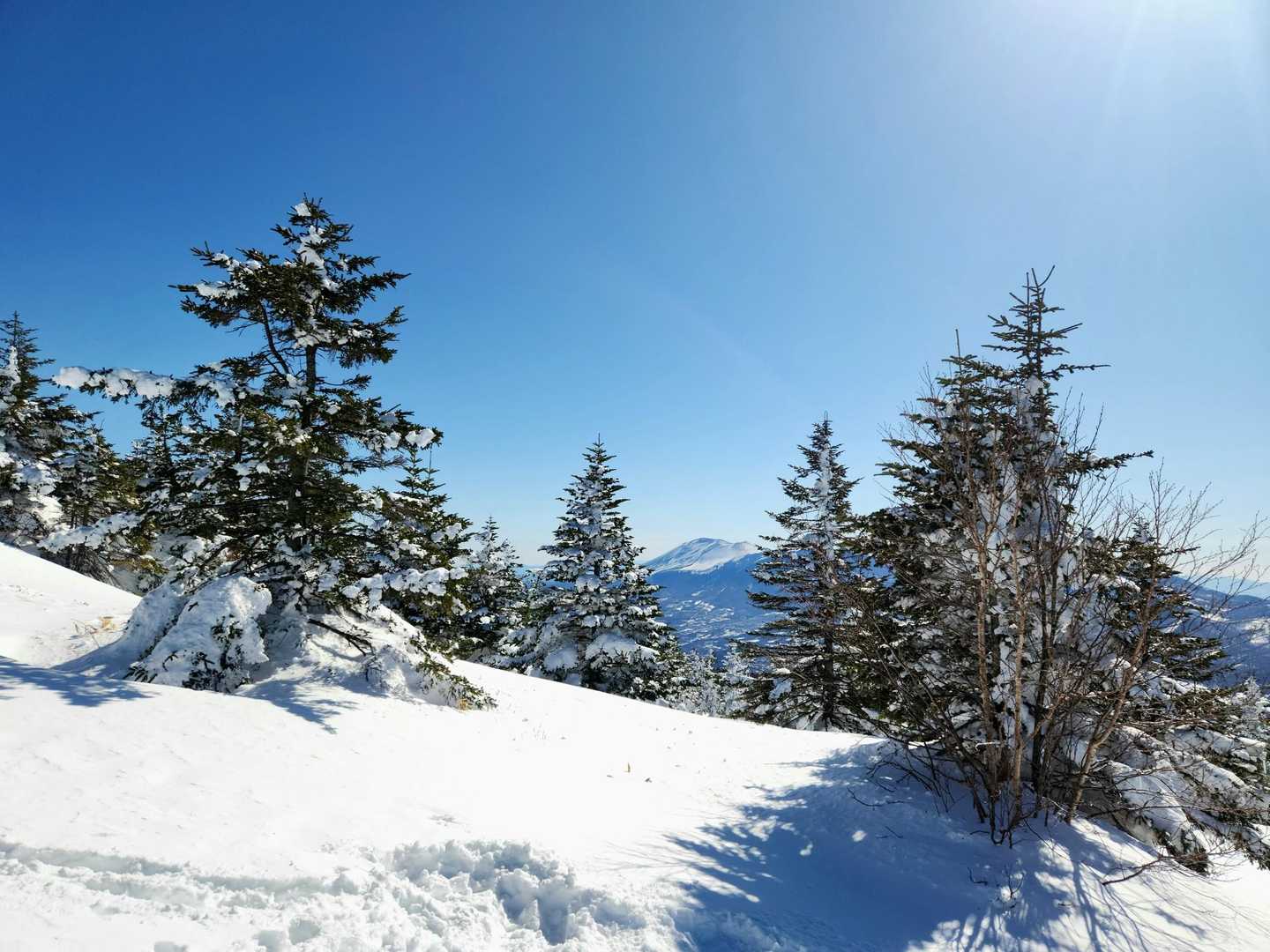 四阿山登山口-四阿山 往復コースの写真