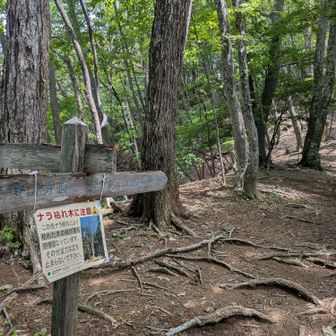 ヌカザス山の側の交差点